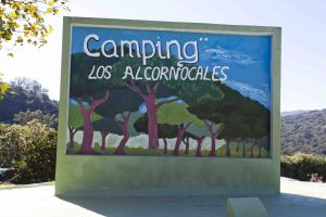 Camping Los Alcornocales 02
