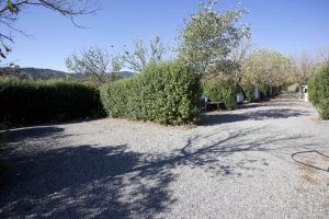 Camping Los Alcornocales 07