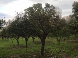 El Paraje del Molino 14