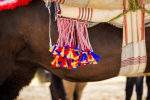 Feria3