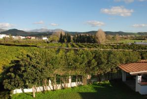 Villa Aurora 02