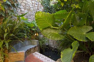 la-fuente-vieja 35809324674 o