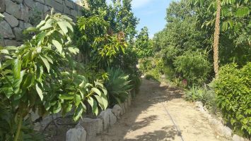 la-fuente-vieja 35809324724 o