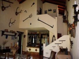 olivos-la-bordalla 35836659733 o