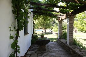 olivos-la-bordalla 36507708911 o