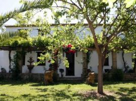 olivos-la-bordalla 36507709321 o