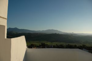 vista 40629994931 o